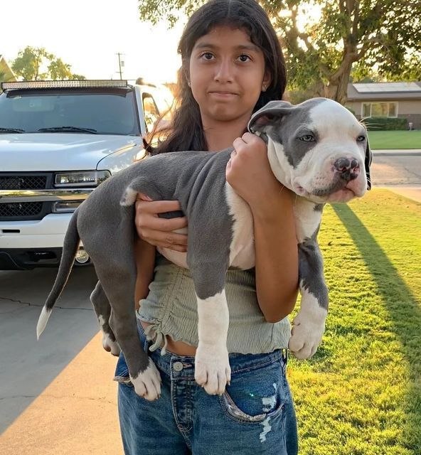 A young owner holding her puppy safely after delivery.